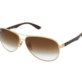 Ray-Ban RB8313 001/51 kép