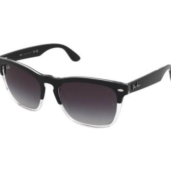 Ray-Ban Steve RB4487 66308G kép