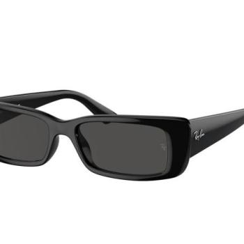 Ray-Ban Teru RB4425 667787 ONE SIZE (54) Fekete Unisex Napszemüvegek kép