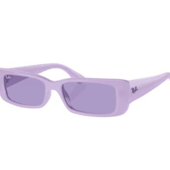 Ray-Ban Teru RB4425 67581A kép
