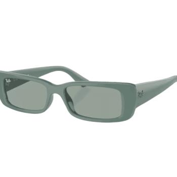 Ray-Ban Teru RB4425 676282 kép