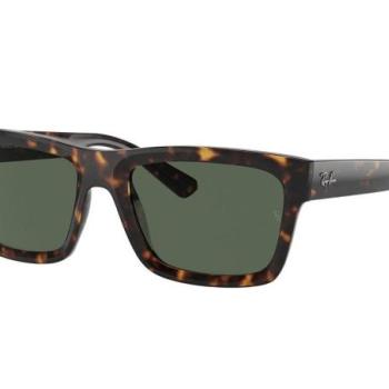 Ray-Ban Warren RB4396 135971 L (57) Havana Unisex Napszemüvegek kép