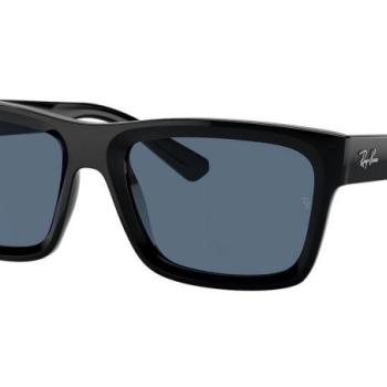 Ray-Ban Warren RB4396 667780 L (57) Fekete Unisex Napszemüvegek kép