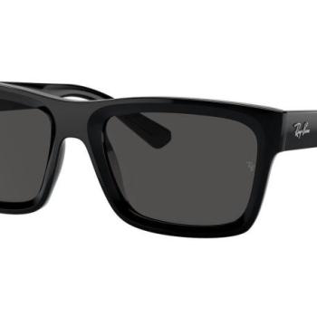 Ray-Ban Warren RB4396 667787 M (54) Fekete Unisex Napszemüvegek kép