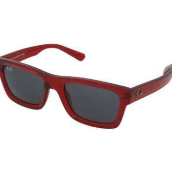 Ray-Ban Warren RB4396 667987 kép
