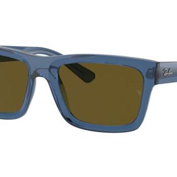 Ray-Ban Warren RB4396 668073 L (57) Kék Unisex Napszemüvegek kép