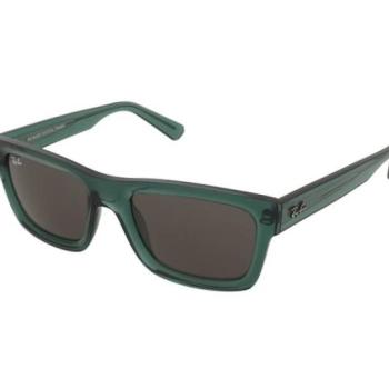 Ray-Ban Warren RB4396 6681/3 kép