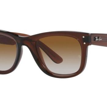Ray-Ban Wayfarer Reverse RBR0502S 6709CB L (53) Barna Unisex Napszemüvegek kép