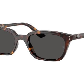 Ray-Ban Zaya RB4456 135987 M (50) Havana Unisex Napszemüvegek kép