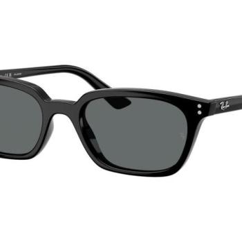 Ray-Ban Zaya RB4456 667781 Polarized L (53) Fekete Unisex Napszemüvegek kép