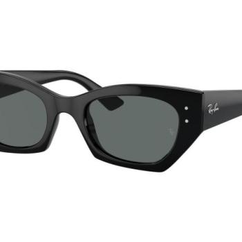 Ray-Ban Zena RB4430 667781 Polarized M (49) Fekete Unisex Napszemüvegek kép