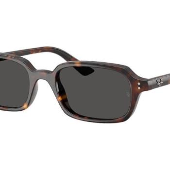 Ray-Ban Zuri RB4455 135987 L (52) Havana Unisex Napszemüvegek kép