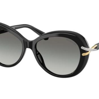 Swarovski SK6026 100111 ONE SIZE (56) Fekete Férfi Napszemüvegek kép