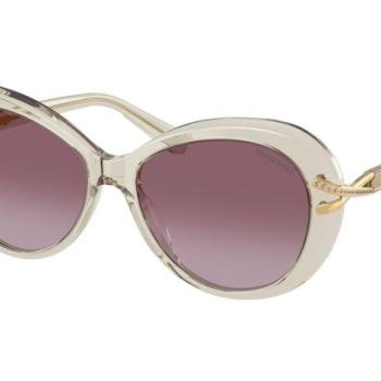 Swarovski SK6026 30038H ONE SIZE (56) Bézs Férfi Napszemüvegek kép