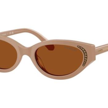 Swarovski SK6030 106173 ONE SIZE (52) Bézs Férfi Napszemüvegek kép