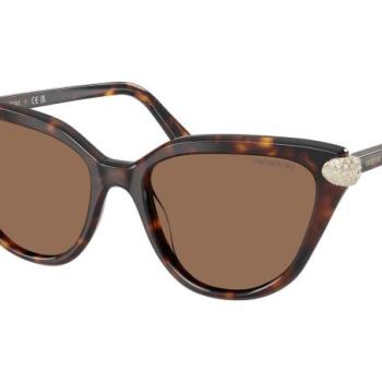 Swarovski SK6039 100273 ONE SIZE (56) Havana Férfi Napszemüvegek kép