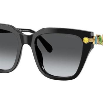 Swarovski SK6041 1001T3 Polarized ONE SIZE (53) Fekete Férfi Napszemüvegek kép