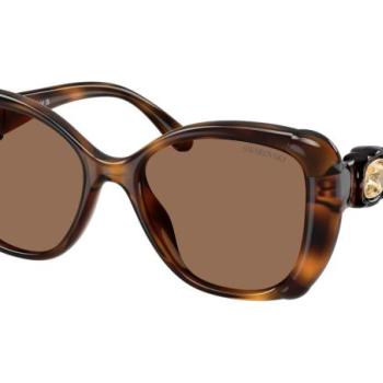 Swarovski SK6051U 100273 ONE SIZE (53) Havana Férfi Napszemüvegek kép