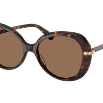 Swarovski SK6059 100273 ONE SIZE (55) Havana Férfi Napszemüvegek kép