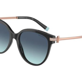 Tiffany & Co. TF4193B 80019S ONE SIZE (55) Fekete Férfi Napszemüvegek kép