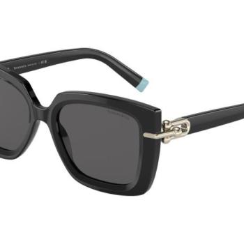 Tiffany & Co. TF4199 8001S4 ONE SIZE (53) Fekete Férfi Napszemüvegek kép
