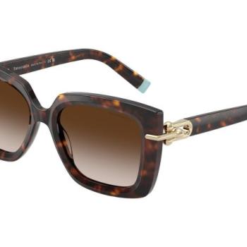 Tiffany & Co. TF4199 80153B ONE SIZE (53) Havana Férfi Napszemüvegek kép