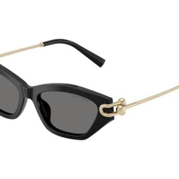 Tiffany & Co. TF4231U 800181 Polarized ONE SIZE (53) Fekete Férfi Napszemüvegek kép