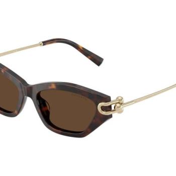 Tiffany & Co. TF4231U 80153G ONE SIZE (53) Havana Férfi Napszemüvegek kép