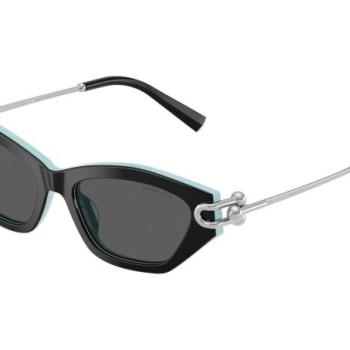 Tiffany & Co. TF4231U 8055S4 ONE SIZE (53) Fekete Férfi Napszemüvegek kép
