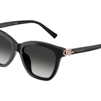 Tiffany & Co. TF4241D 80013C ONE SIZE (54) Fekete Férfi Napszemüvegek kép