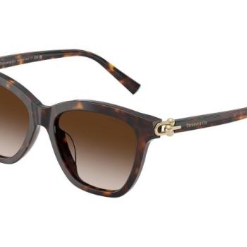Tiffany & Co. TF4241D 80153B ONE SIZE (54) Havana Férfi Napszemüvegek kép