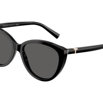 Tiffany & Co. TF4251 8001S4 ONE SIZE (56) Fekete Férfi Napszemüvegek kép