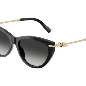 Tiffany & Co. TF4253 80013C ONE SIZE (55) Fekete Férfi Napszemüvegek kép