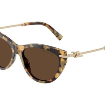 Tiffany & Co. TF4253 80643G ONE SIZE (55) Havana Férfi Napszemüvegek kép