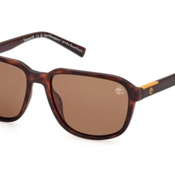 Timberland TB9311 52H Polarized ONE SIZE (56) Havana Női Napszemüvegek kép