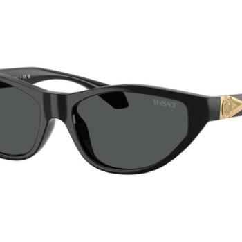 Versace VE4491U GB1/87 ONE SIZE (55) Fekete Férfi Napszemüvegek kép