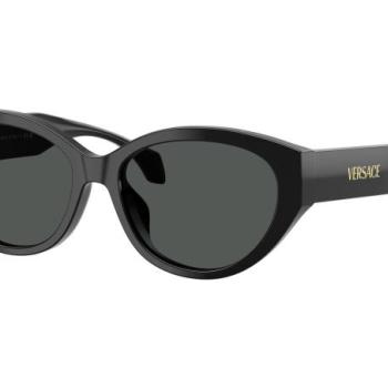 Versace VE4495D GB1/87 ONE SIZE (56) Fekete Férfi Napszemüvegek kép