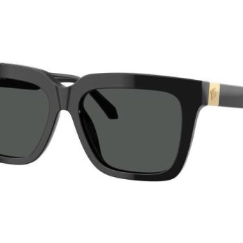 Versace VE4498 GB1/87 ONE SIZE (55) Fekete Férfi Napszemüvegek kép