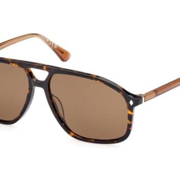 Web WE0338 52H Polarized ONE SIZE (59) Havana Női Napszemüvegek kép