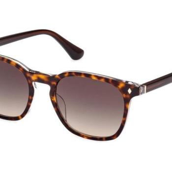 Web WE0364 56B ONE SIZE (52) Havana Női Napszemüvegek kép