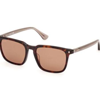 Web WE0369 56E ONE SIZE (54) Havana Női Napszemüvegek kép