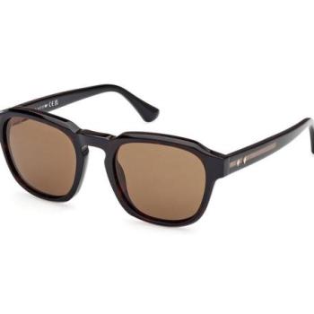 Web WE0370 56J ONE SIZE (52) Havana Női Napszemüvegek kép