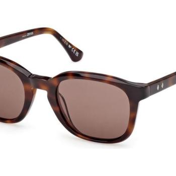 Web WE0390 52E ONE SIZE (53) Havana Női Napszemüvegek kép