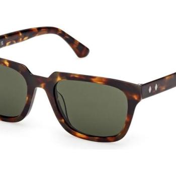 Web WE0391 52N ONE SIZE (53) Havana Női Napszemüvegek kép